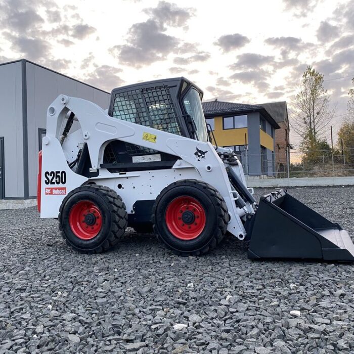 BOBCAT 1