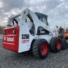BOBCAT 11