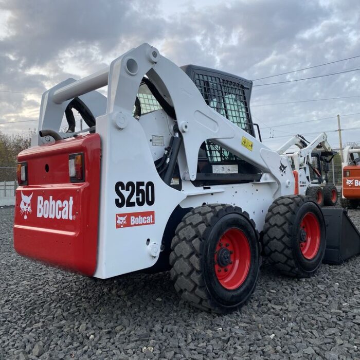 BOBCAT 11