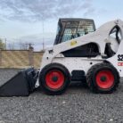 BOBCAT 3
